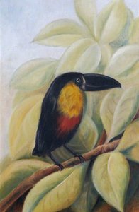A Toucan On A Branch — Rosalie Chichester