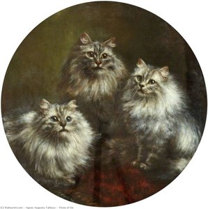 agnes augusta talboys