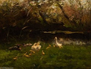 A Family Of Ducks By The Water