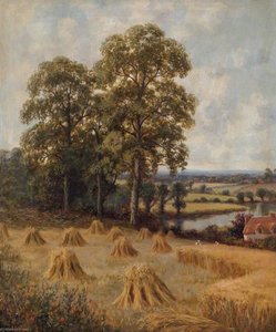 Reapers in a Cornfield