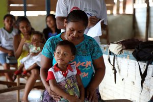 organización panamericana de la salud (ops)