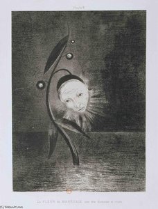 Flower Of The Swamp, A Head Human And Sad — Odilon Redon
