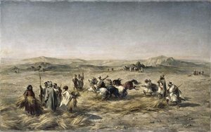 DEPIQUAGE DES BLES EN ALGERIE