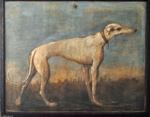Greyhound — Giovanni Domenico Tiepolo
