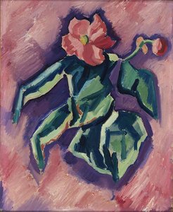 Pink Begonias — Marsden Hartley
