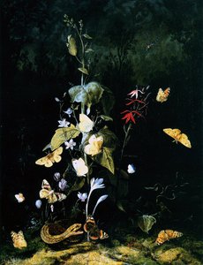 Wild Butterflies And Plants In A Forest Landscape — Otto Marseus Van Schrieck