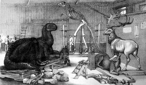 Central Park Arsenal, with models of extinct animals.