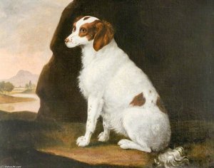 A White And Brown Spaniel — Francis Sartorius Ii (john Francis Sartorius)