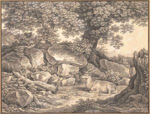 Rocky Landscape — Johann Christian Reinhart