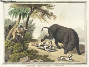 African Rhinoceros Hunting, From Foreign Field Sports