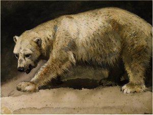 The Polar Bear — Archibald Thorburn