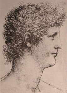 Drawing Of Salai — Leonardo Da Vinci, Renaissance
