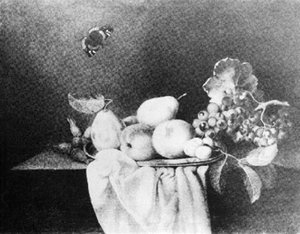 Still Life With Fruit And A Butterfly — Anne Vallayer-coster