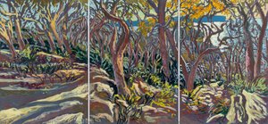 Angophoras Clinging Onto The Rocky Escarpment — Nicholas Michael Hollo