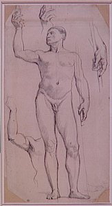 Study Naked For St. Remy — Jean-auguste-dominique Ingres