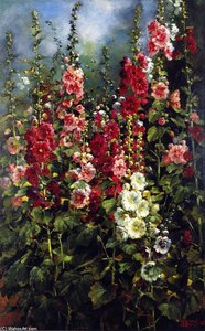 Hollyhocks — Mathias Joseph Alten