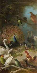 The Parliament Of Birds — John Bucknell Russell, Naturalism