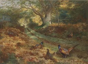 The Bridle Path — Archibald Thorburn