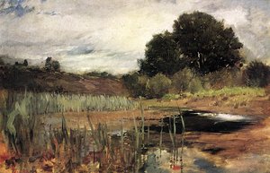 Polling Landscape — Frank Duveneck