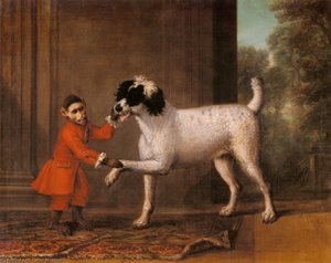 A favorite poodle and monkey belonging to thomas osborn