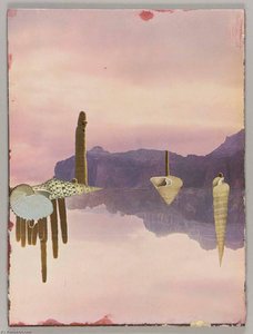 Untitled (landscape With Dry Mountains And Cacti With Mirror Image ) — Joseph Cornell