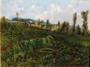 Untitled (AQZBMC)