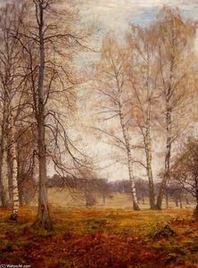 In The Woods, Early Spring