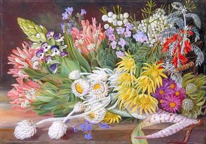 A Medley Of Flowers From Table Mountain, Cape Of Good Hope — Marianne North