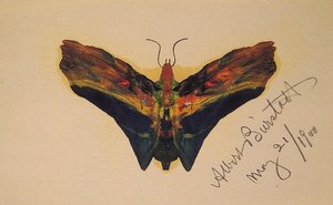 Butterfly (second Version) — Albert Bierstadt