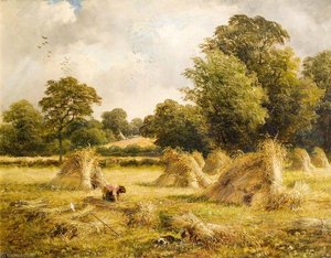 david payne