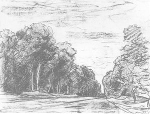 Paris Road In Fontainebleau Forest