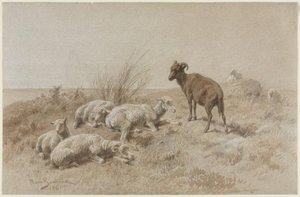 Sheep — Rosa Bonheur