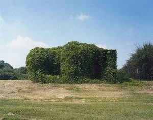 Kudzu Devouring Building, Near Greensboro, Alabama — William Christenberry