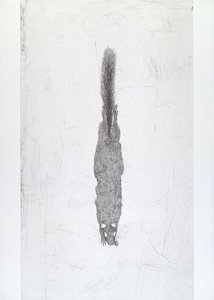 Untitled from White Mammals