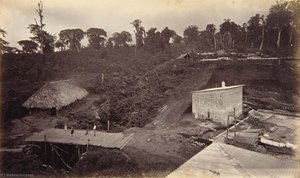 Coffee Plantation, Las Nubes, Guatemala — Eadweard J Muybridge