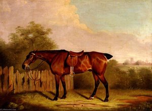 clifton tomson