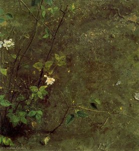 Untitled (790)