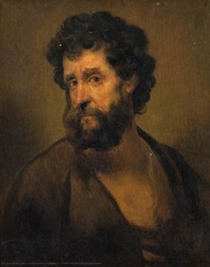 Portrait Of A Bearded Man — Salomon De Koninck