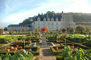 The Kitchen garden