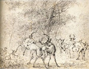 Deer In The Wood — Paulus Potter