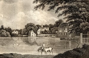 Carshalton — William Ellis
