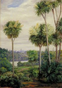 View Of Melbourne From The Botanic Gardens — Marianne North, Victorian Romanticism
