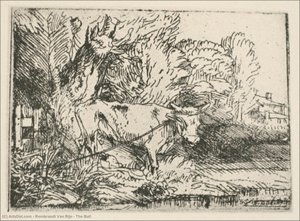 The Bull — Rembrandt Van Rijn, Baroque