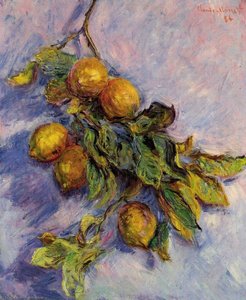 Branch Of Lemons — Claude Monet