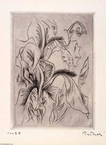 Iris, From The Portfolio Of Earth And Water — Gabor Peterdi