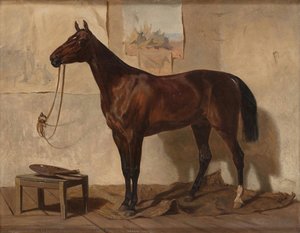 Horse Of Prince A. Baryatinsky — Theodor Horschelt