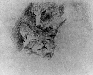The Cats ''pituso'' And ''zorrillo'' — Remedios Varo, Surrealism