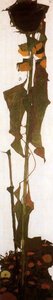Untitled (4956) — Egon Schiele