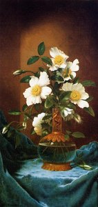 White Cherokee Roses In A Salamander Vase — Martin Johnson Heade