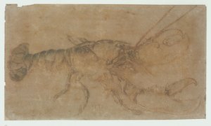 Lobster — Albrecht Dürer